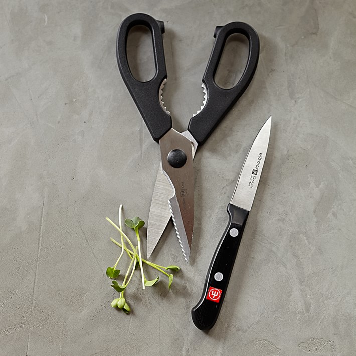 Kitchen Scissors: A Chef's Favorite Tool