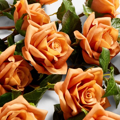 Jeff Leatham Real Touch Faux Toffee Rose Stems, Set of 12