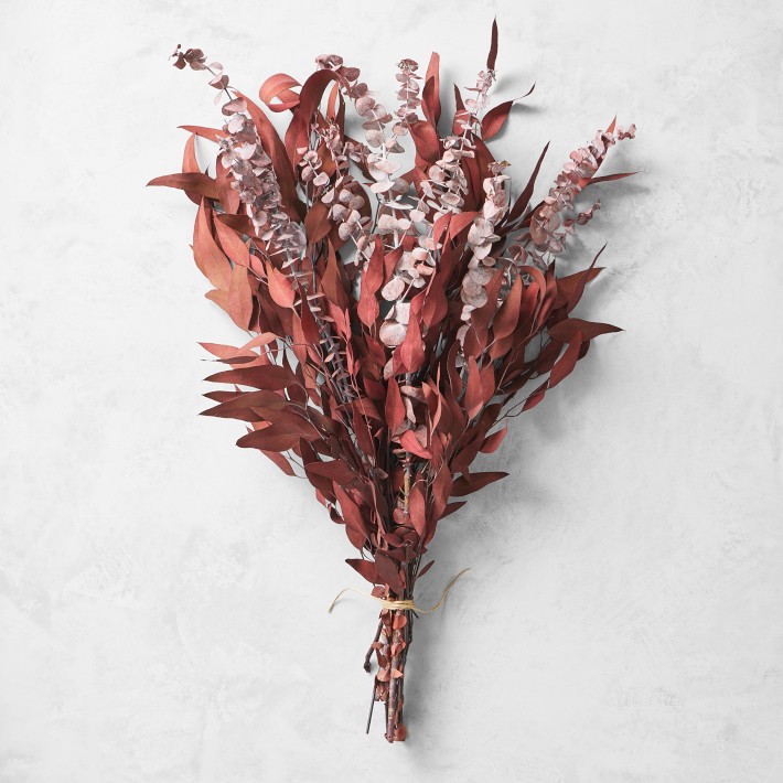 https://assets.wsimgs.com/wsimgs/rk/images/dp/wcm/202348/0084/dried-red-eucalyptus-bunch-o.jpg