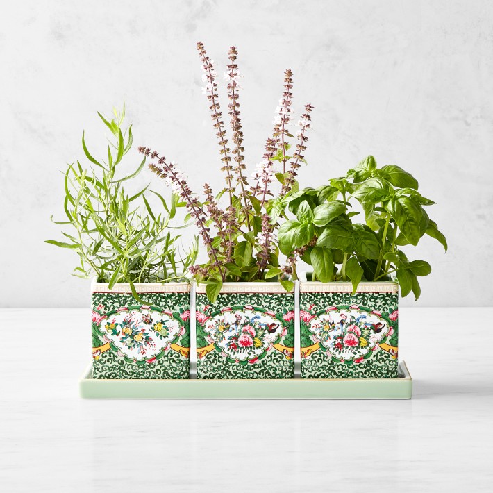 Famille Rose Herb Planter with Tray