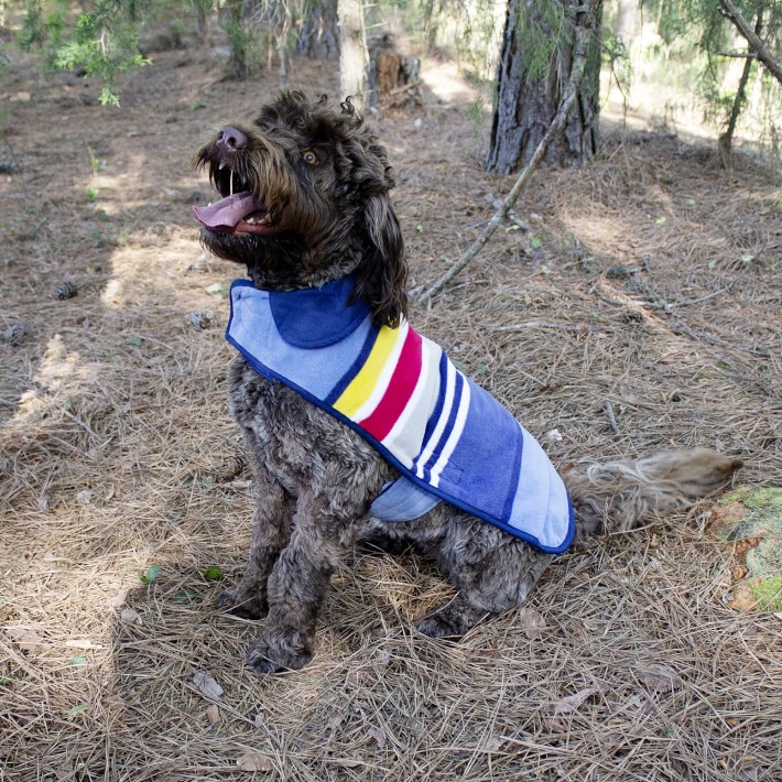 https://assets.wsimgs.com/wsimgs/rk/images/dp/wcm/202349/0067/pendleton-national-park-dog-coat-3-o.jpg