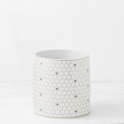 Williams Sonoma Ceramic Partitioned Utensil Holder