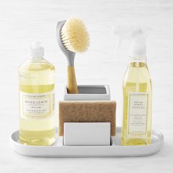 Dish Brush Set with Storage Holder, 4-In-1 Kitchen Cleaning Brush Set with  2 Int