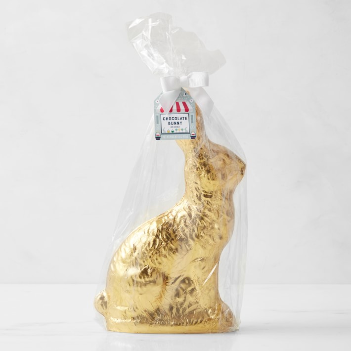 Williams Sonoma Large Semi Solid Chocolate Foiled Bunny
