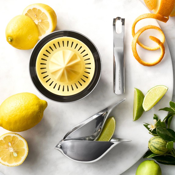 Williams Sonoma StainlessSteel Citrus Wedge Juicer Williams Sonoma
