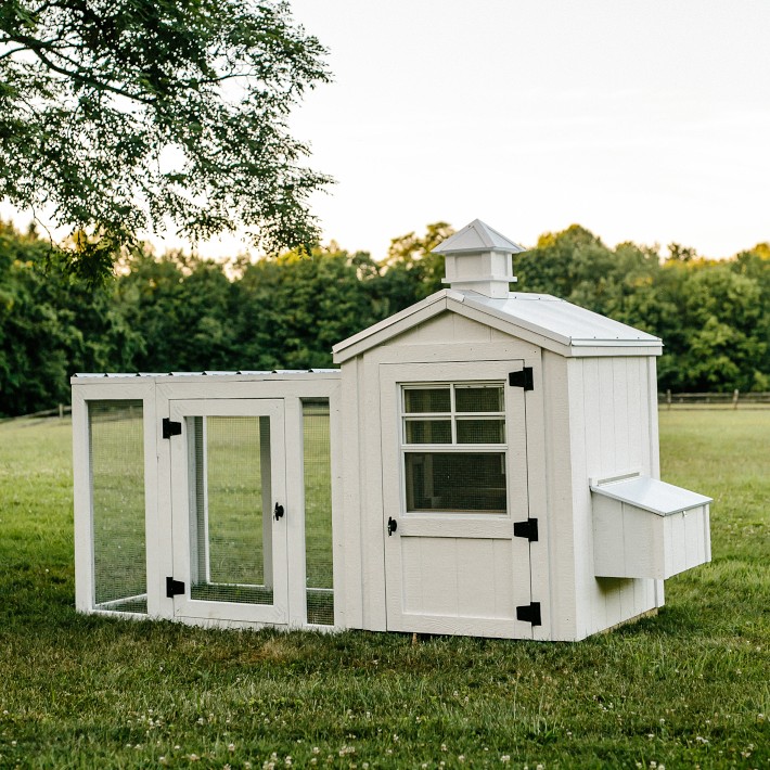 Charming White Chicken Coop with Silver Metal Roof, Chicken Run