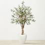 4.4' Faux Olive Tree in White Planter
