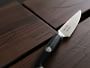 Video 1 for Cangshan Thomas Keller 8&quot; Honing Steel Knife