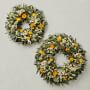 Olive Billy Button Live Wreath