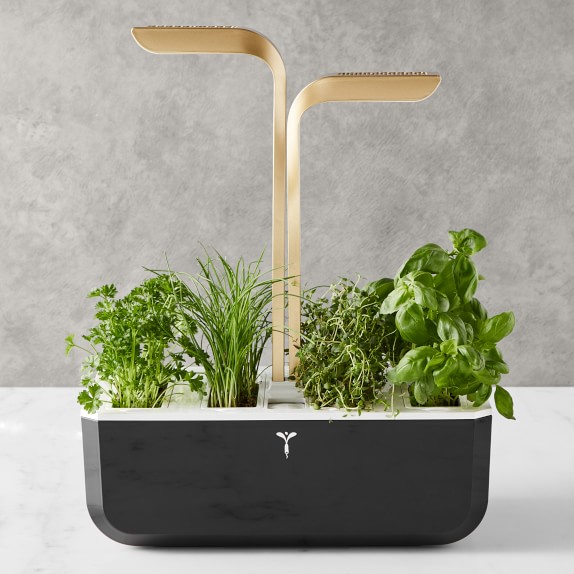 Click and Grow Smart Garden 3 Pod Williams Sonoma