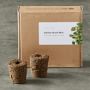 Click &amp; Grow Herb Seed Pack