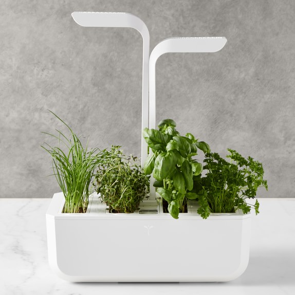 Click and Grow Smart Garden 3 Pod Williams Sonoma