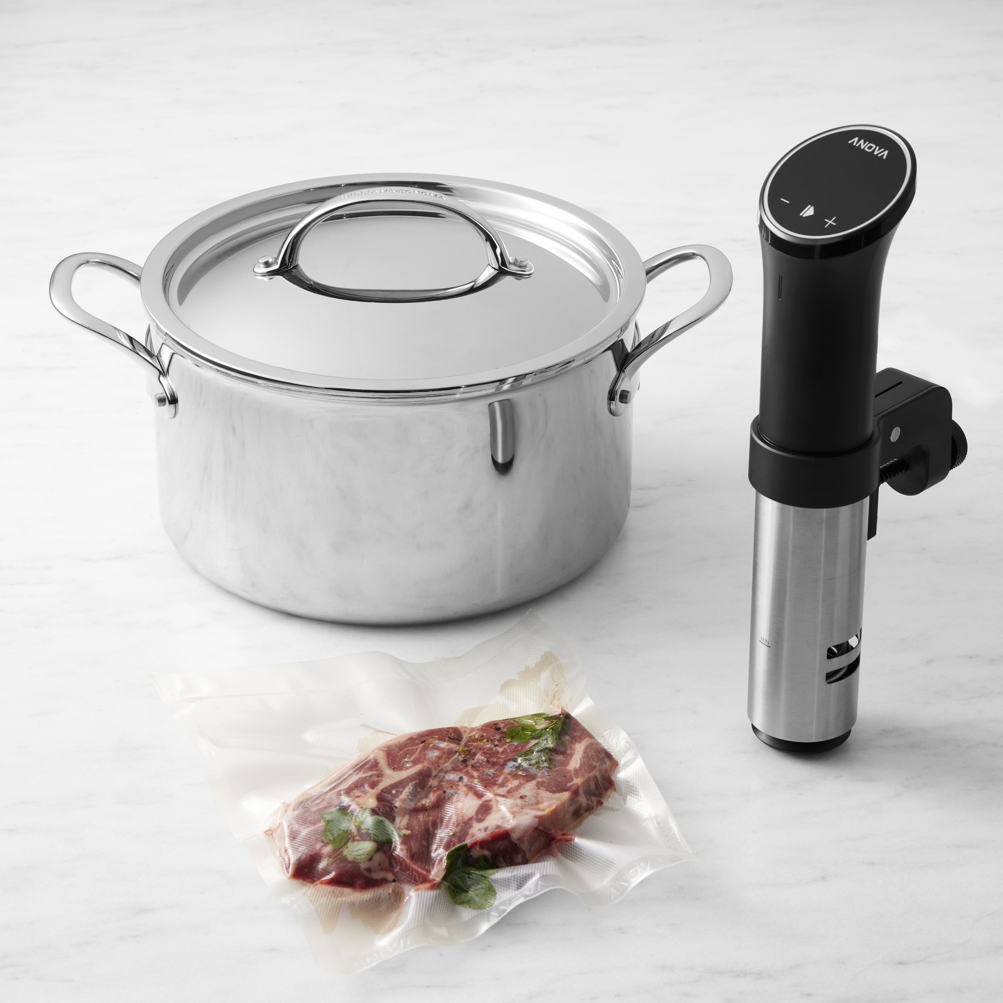 Anova Precision® Cooker 3.0 with Wi-Fi + Williams Sonoma Thermo-Clad Stainless-Steel Stock Pot