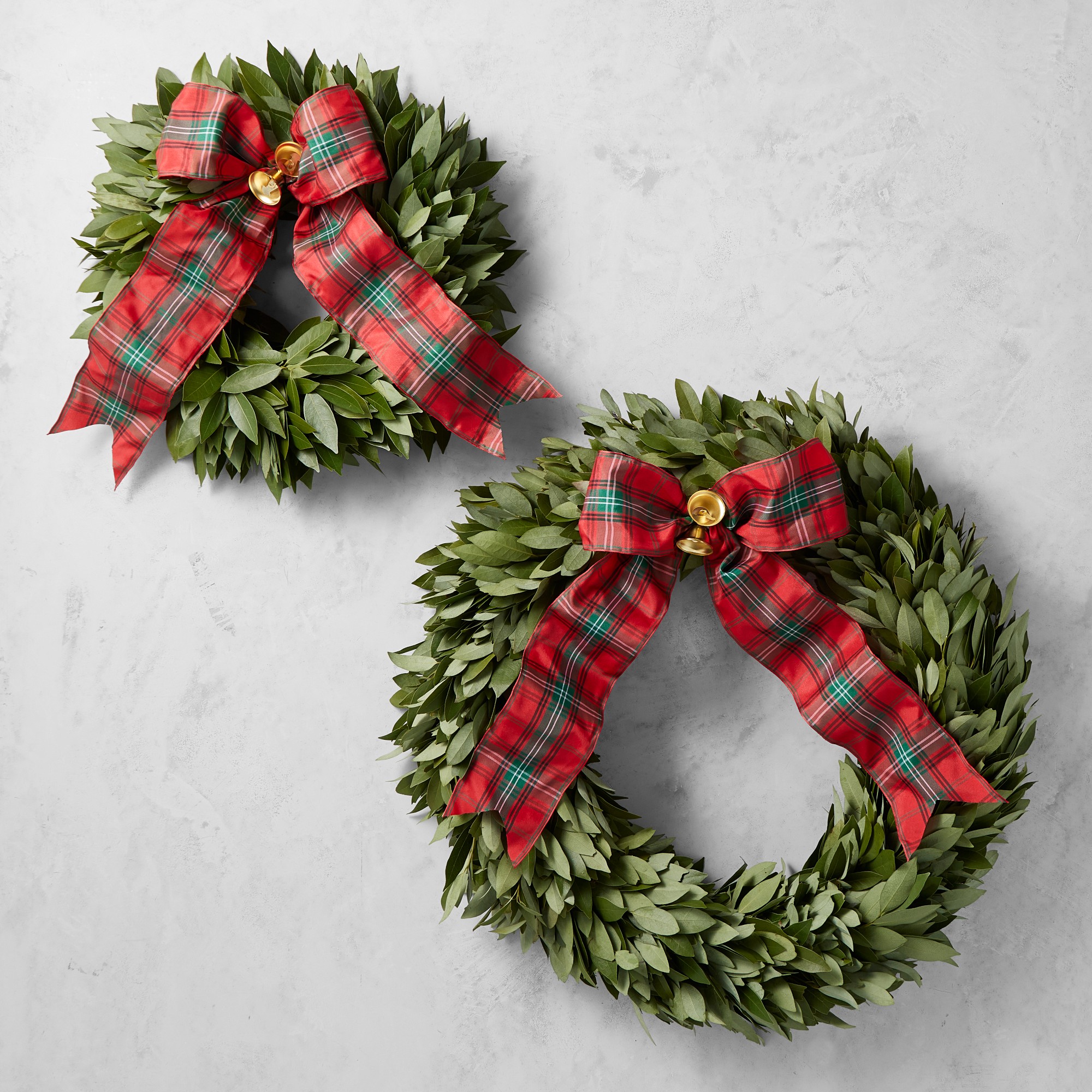 Bay Leaf Live Wreath with Tartan Ribbon