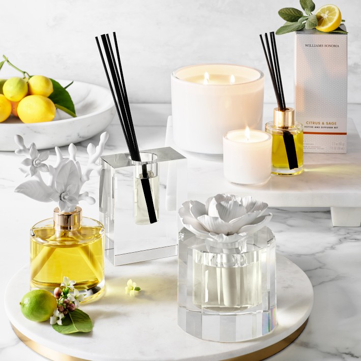 Williams Sonoma Crystal Block Diffuser and Refill Set Citrus and