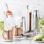 Open Kitchen by Williams Sonoma Single-Wall Cocktail Shaker Set