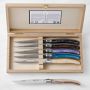 Jean Dubost Fashion Acrylic Steak Knives, Set of 6