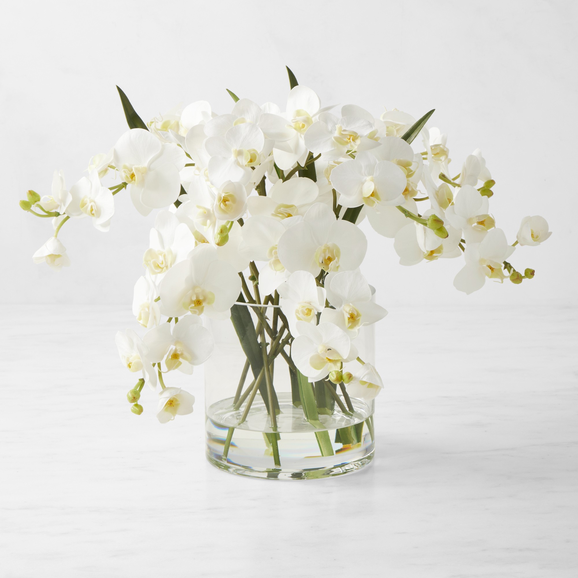 Faux White Orchid Phalaenopsis in Glass Vase