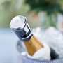 Open Kitchen by Williams Sonoma Champagne Stopper
