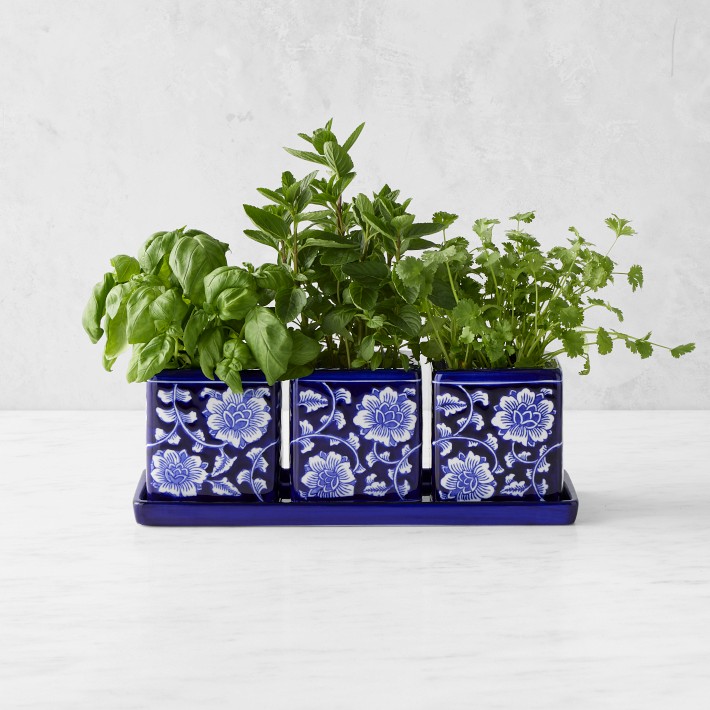 Blue &amp; White Ceramic Herb Tray with Pots, Set of 3