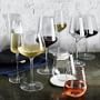 Williams Sonoma Estate Champagne Wine Glasses
