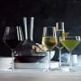 Zwiesel Glas Pure Coupe Glasses