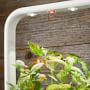 Click &amp; Grow Smart Garden System, 9-Pod, White