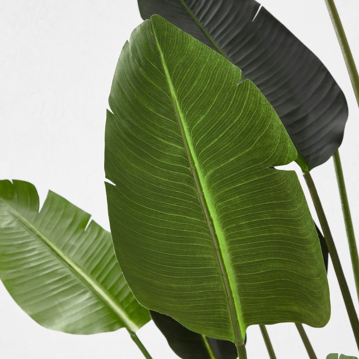 Faux Bird Of Paradise Plant in Plastic Pot, 18 Leaves, 7.75' | Williams ...