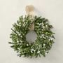 Field of Daisies Live Wreath