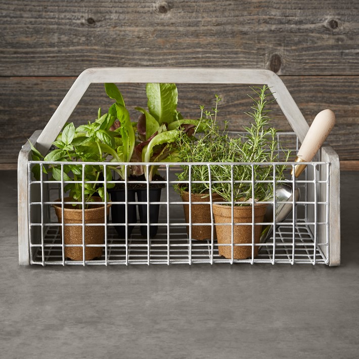 Williams Sonoma Gardening Basket