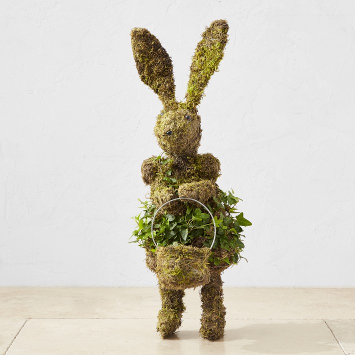 Easter Bunny with Basket Ivy &amp; Moss Live Topiary