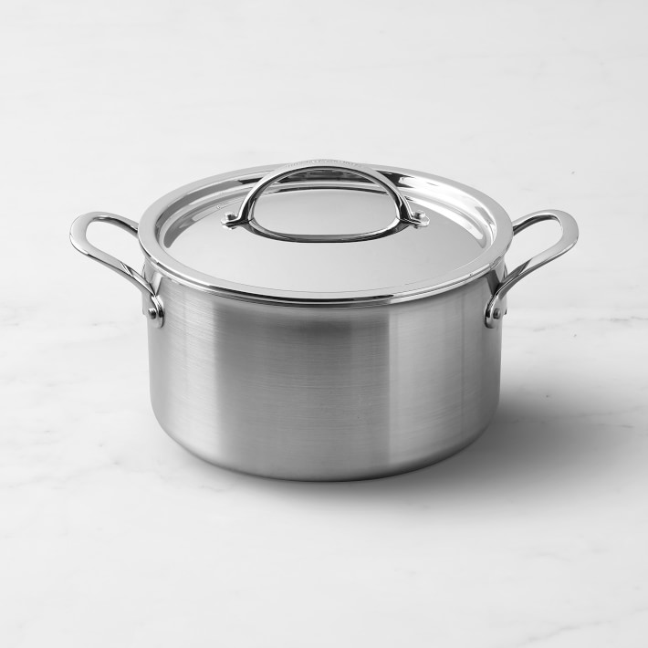 Williams Sonoma Signature Thermo-Clad&#8482; Brushed Stainless-Steel Stock Pot