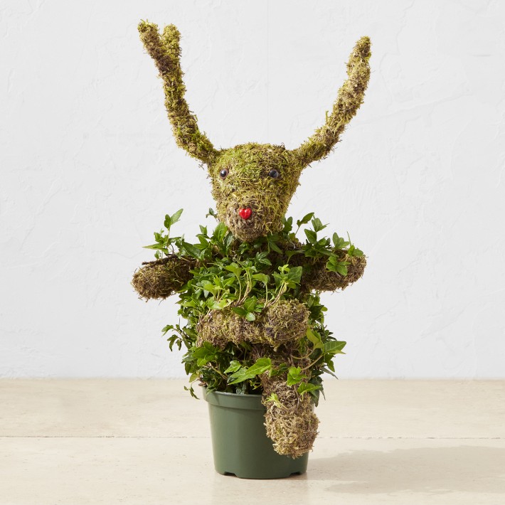 Ivy &amp; Moss Sitting Reindeer Topiary