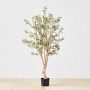 5' Faux Indoor Silk Olive Tree