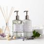 Williams Sonoma French Lavender Essential Oils Collection