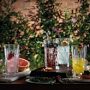 Waterford Lismore Gin Journeys Highball Glasses, Set of 2
