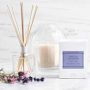 Williams Sonoma French Lavender Essential Oils Collection