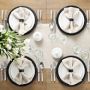 Open Kitchen by Williams Sonoma Matte Coupe Dinner &amp; Salad Plates, Set of 4