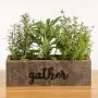 Live Triple Herb Garden in &quot;Gather&quot; Wooden Planter