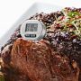 Williams Sonoma Stainless-Steel Pocket Thermometer