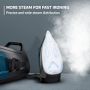 Rowenta Perfect Steam Pro DG8624U1