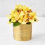 Gold Potted Faux Yellow Orchid Floral Arrangement