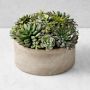 Jeff Leatham Real Touch Faux Succulents in Round Pot