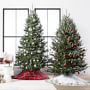 Live Blue Ridge Mountain Christmas Tree, 3'-9'
