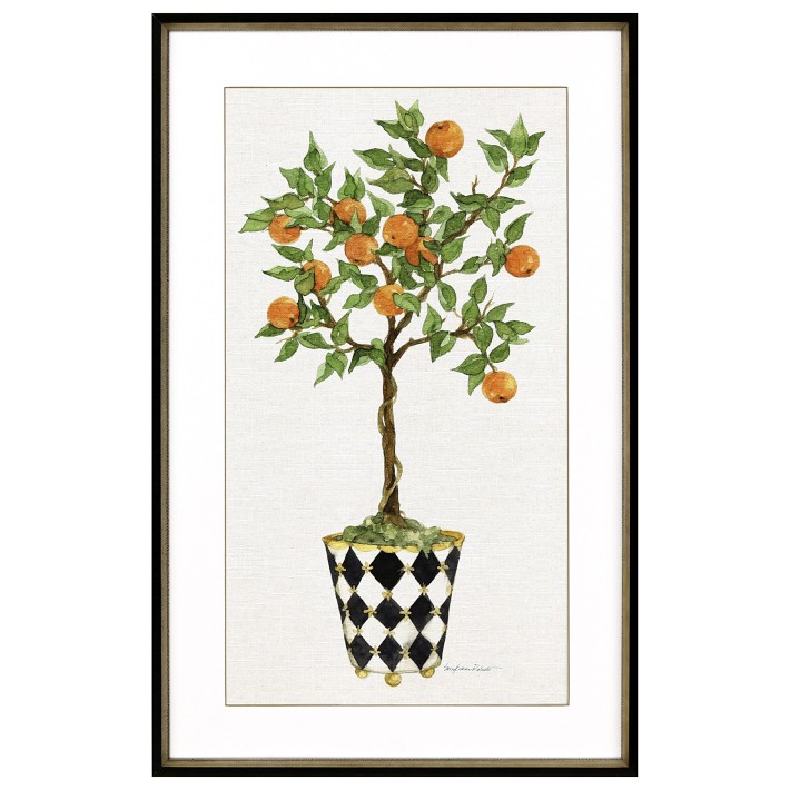 Fruit Topiary | Williams Sonoma