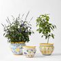 Italian Hand-Painted Planter Collection