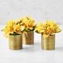 Gold Potted Faux Yellow Orchid Floral Arrangement, Mini