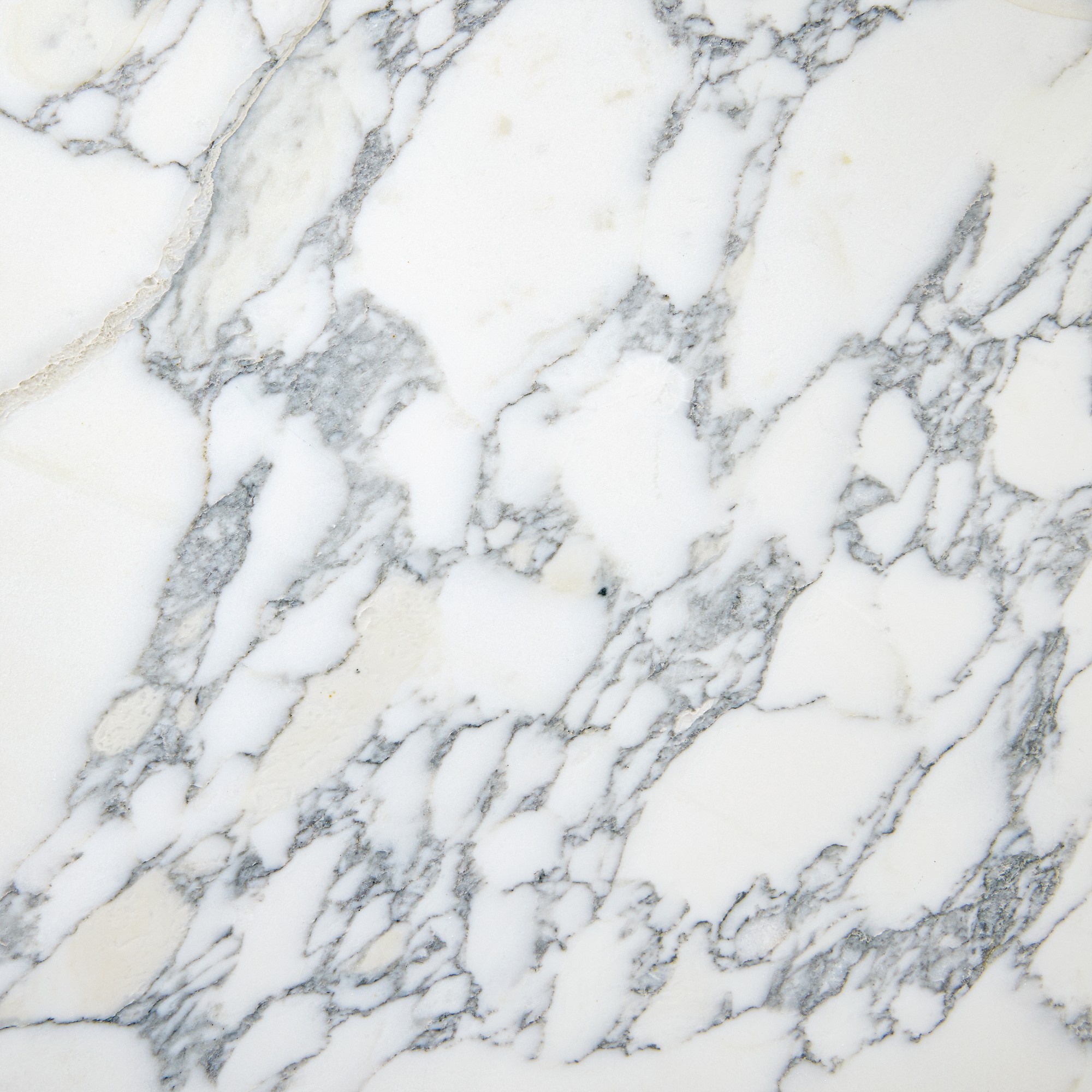 Vittoria Marble Swatch