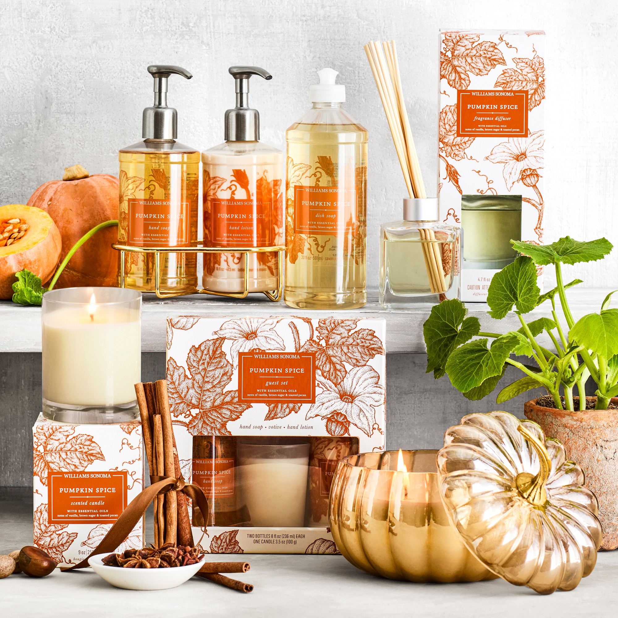 Williams Sonoma Pumpkin Spice Essentials Oils Collection