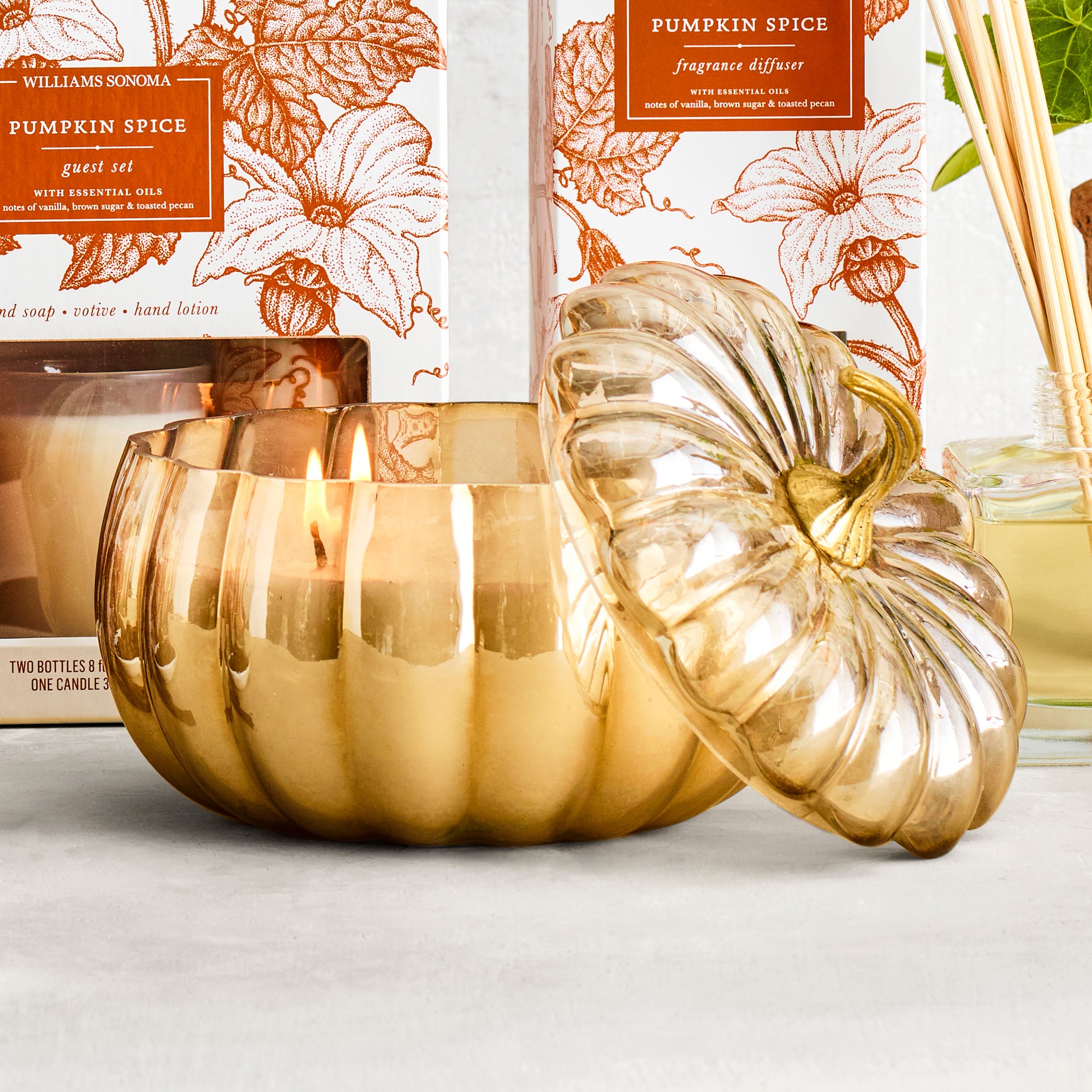 Williams Sonoma Pumpkin Spice Figural Candle